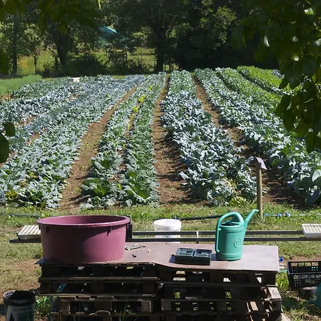 مزرعة للإقامة La Costa Fattoria Sociale *