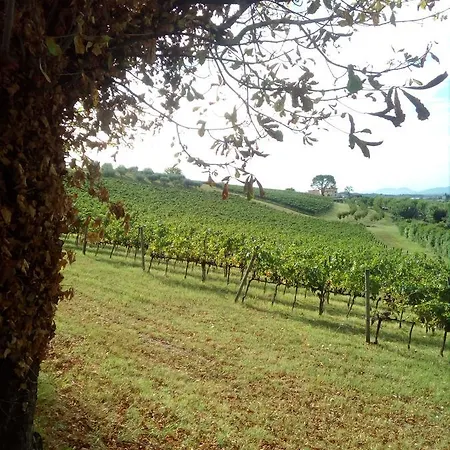 ファームステイ La Costa Fattoria Sociale *