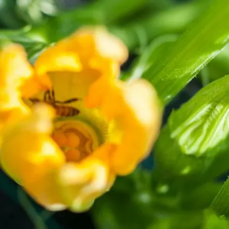 La Costa Fattoria Sociale مزرعة للإقامة *