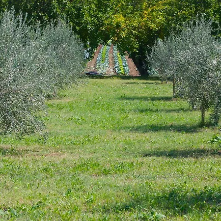 Séjour à la ferme La Costa Fattoria Sociale *