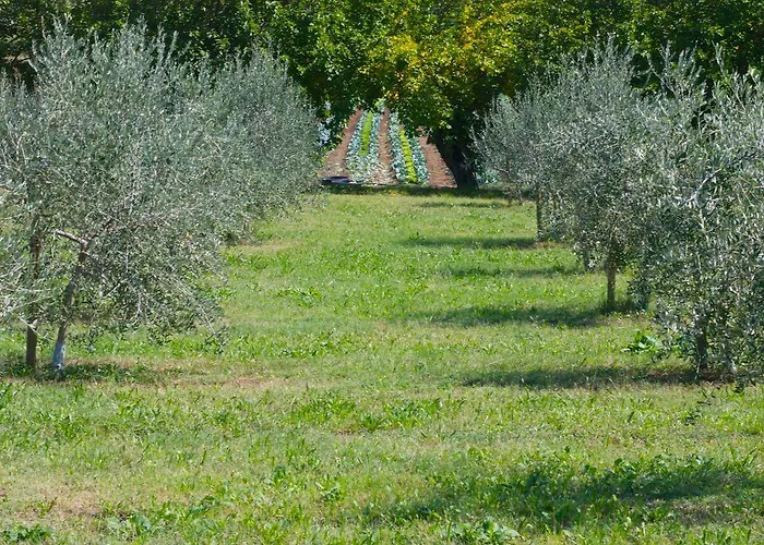 Farm stay La Costa Fattoria Sociale *