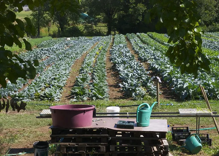 Agroturismo La Costa Fattoria Sociale *